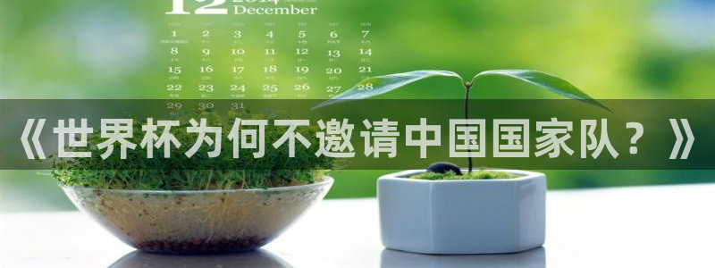 2026世界杯赛:《世界杯为何不邀请中国国家队?》