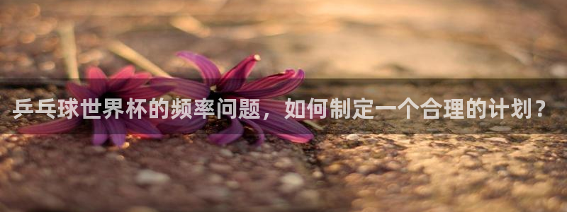 世界杯直播高清:乒乓球世界杯的频率问题,如何制定一个合理的计划?