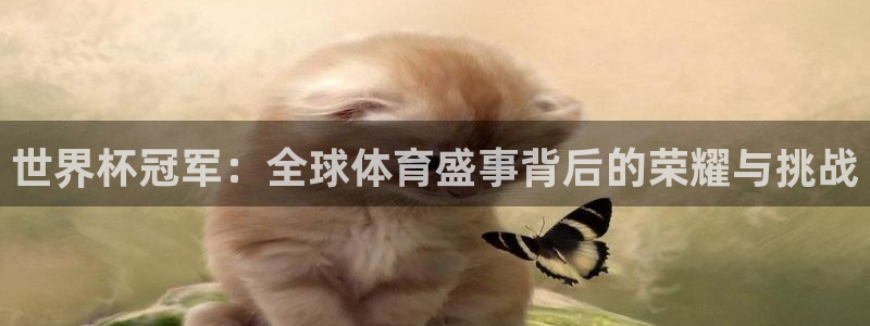 2026世界杯赛:世界杯冠军:全球体育盛事背后的荣耀与挑战